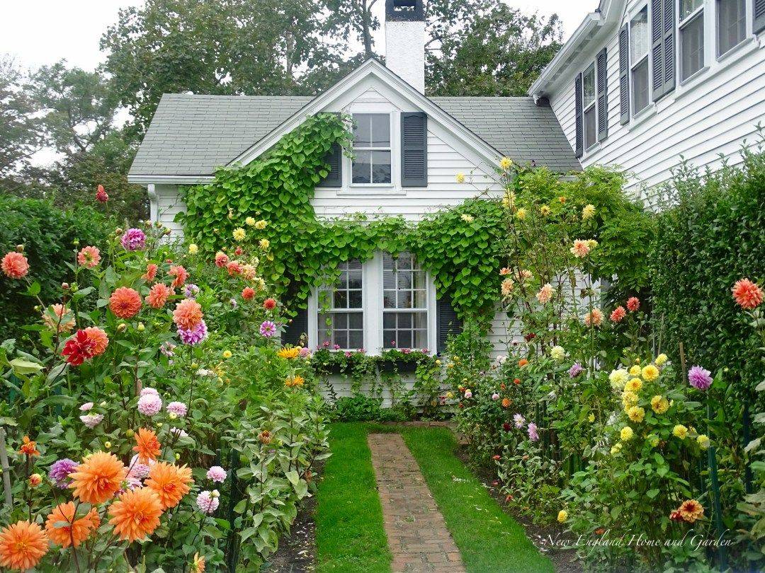 Country Flower Garden Ideas