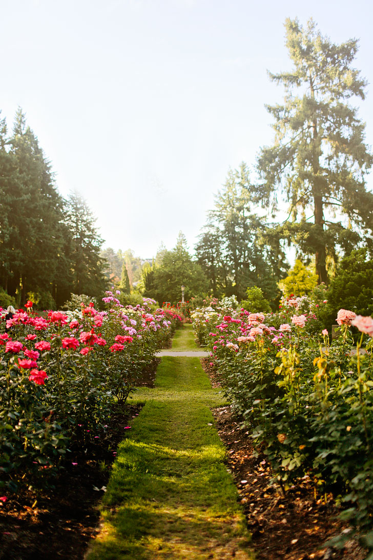 Rose Garden Portland