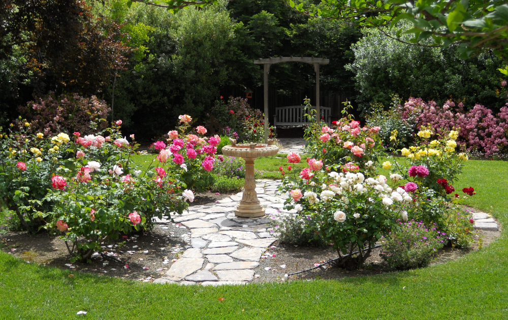 Gorgeous Rose Garden Ideas Photo Inspiration Garden Tabs