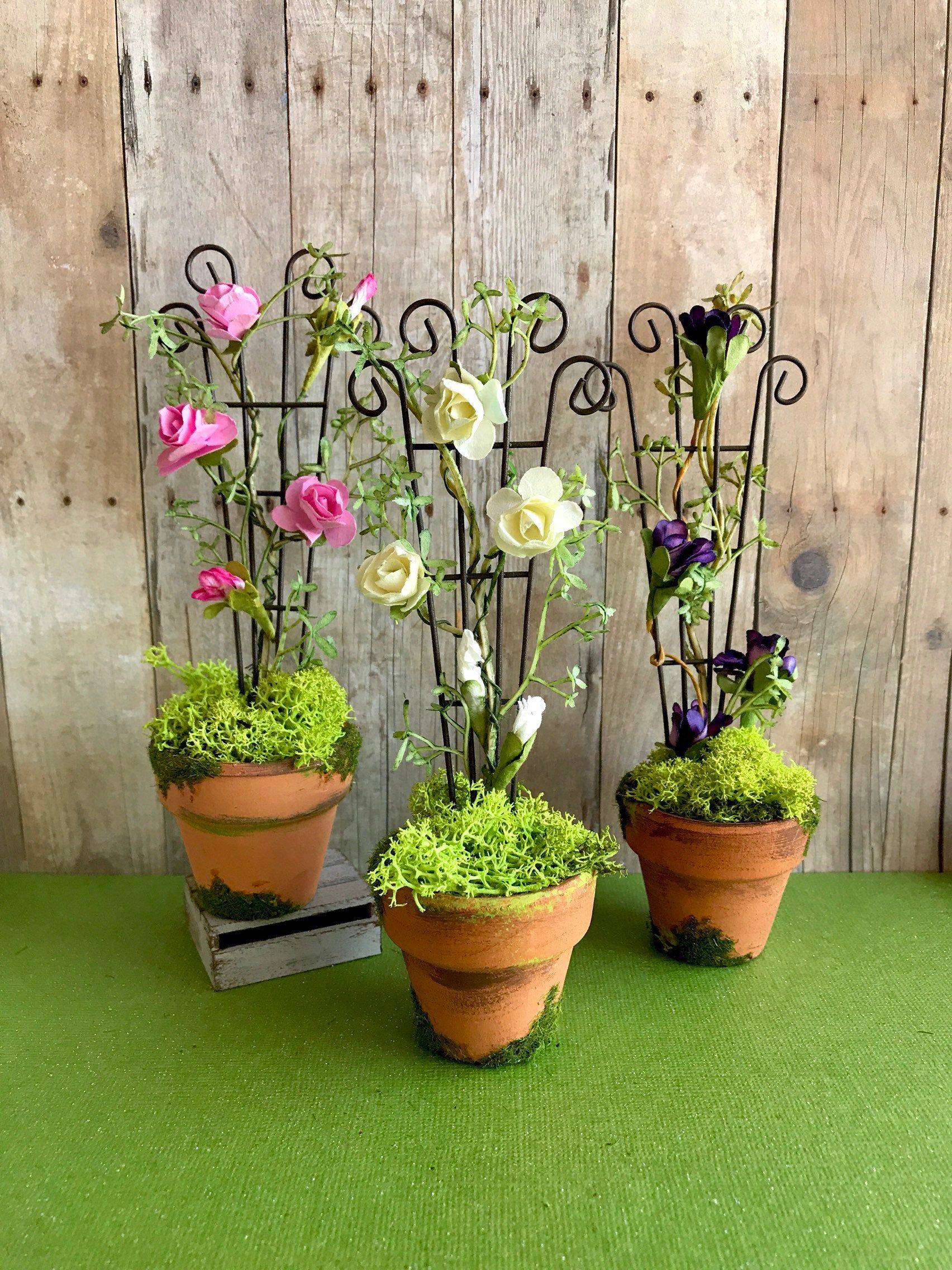 Miniature Rose Garden Ideas Photograph Way