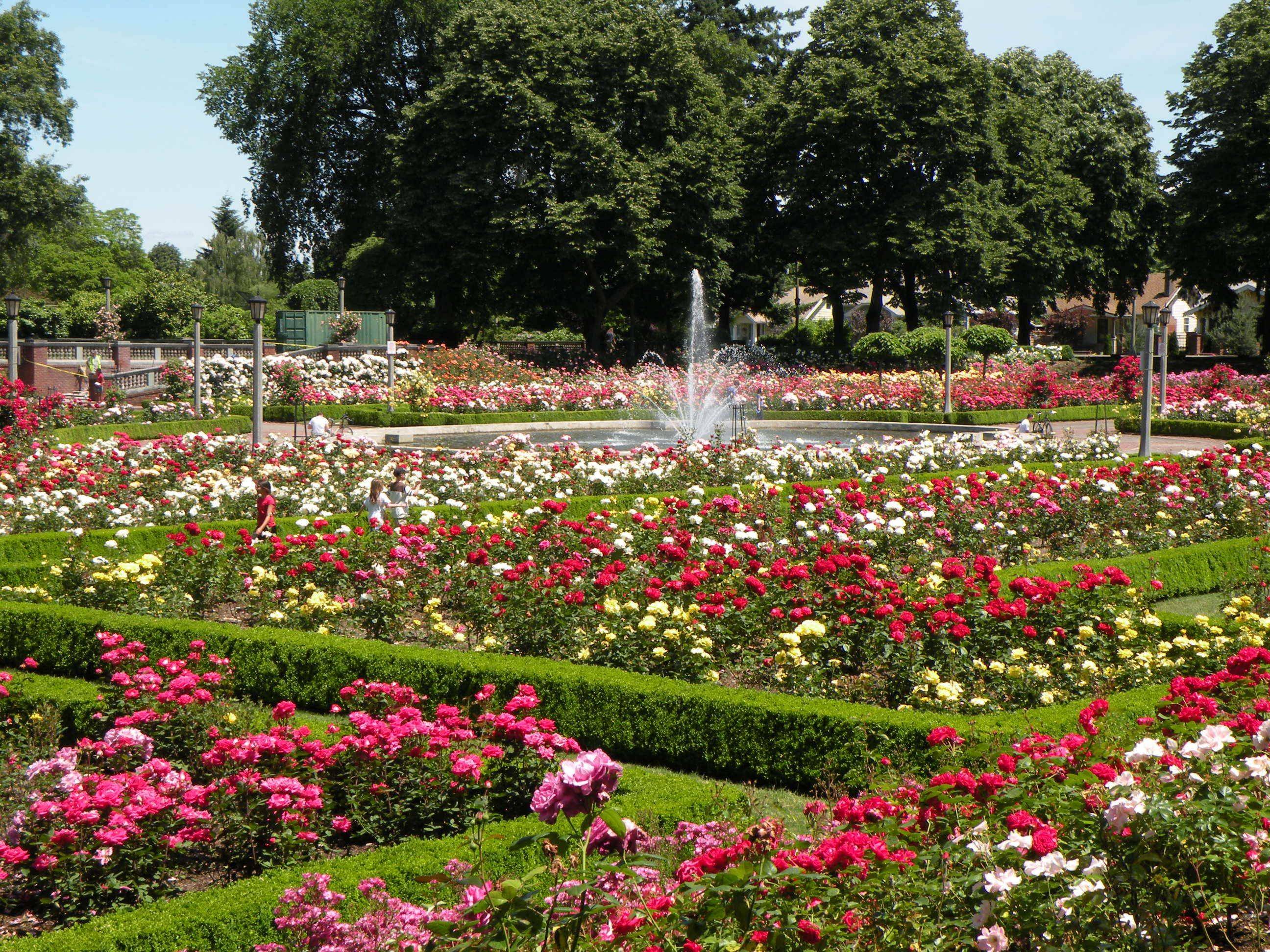 Portlands Rose Garden