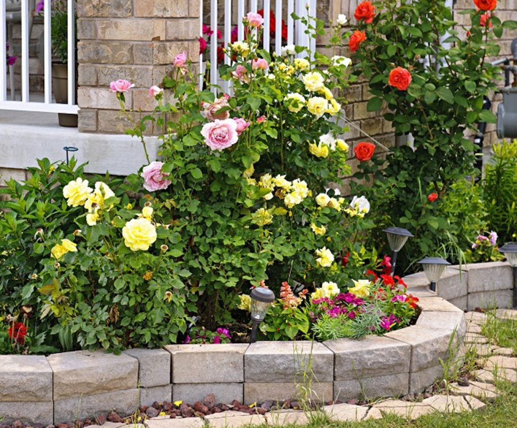 Best Cottage Style Garden Ideas