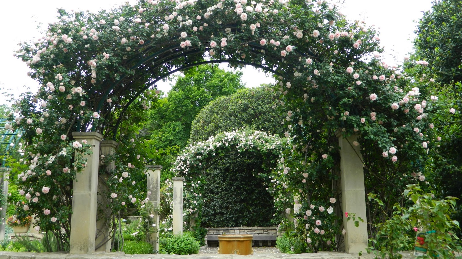 Colorful Knot Garden Google Search Brooklyn Botanical Garden