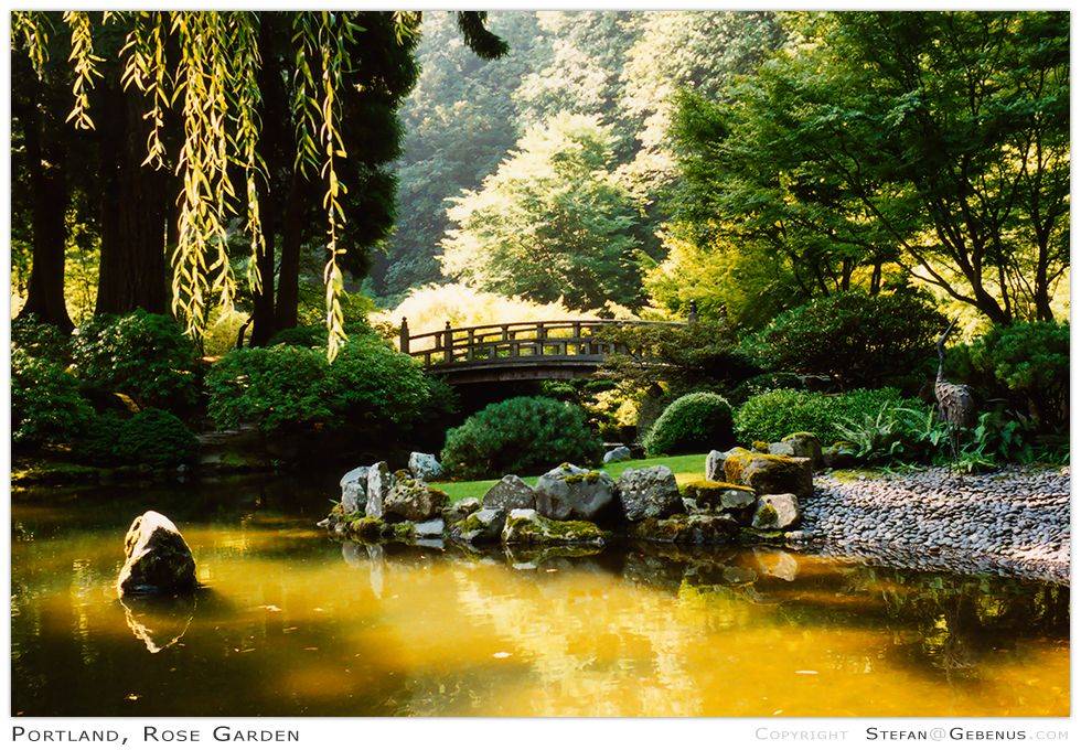 Japanese Garden