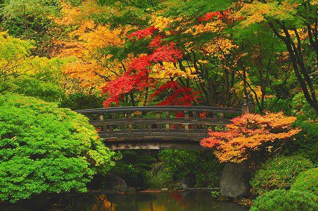 Portland Japanese Garden