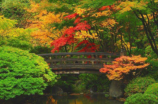 Portland Japanese Garden