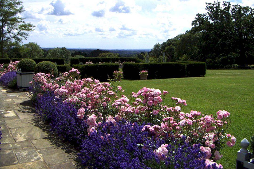 House Beautiful Rose Garden Landscape