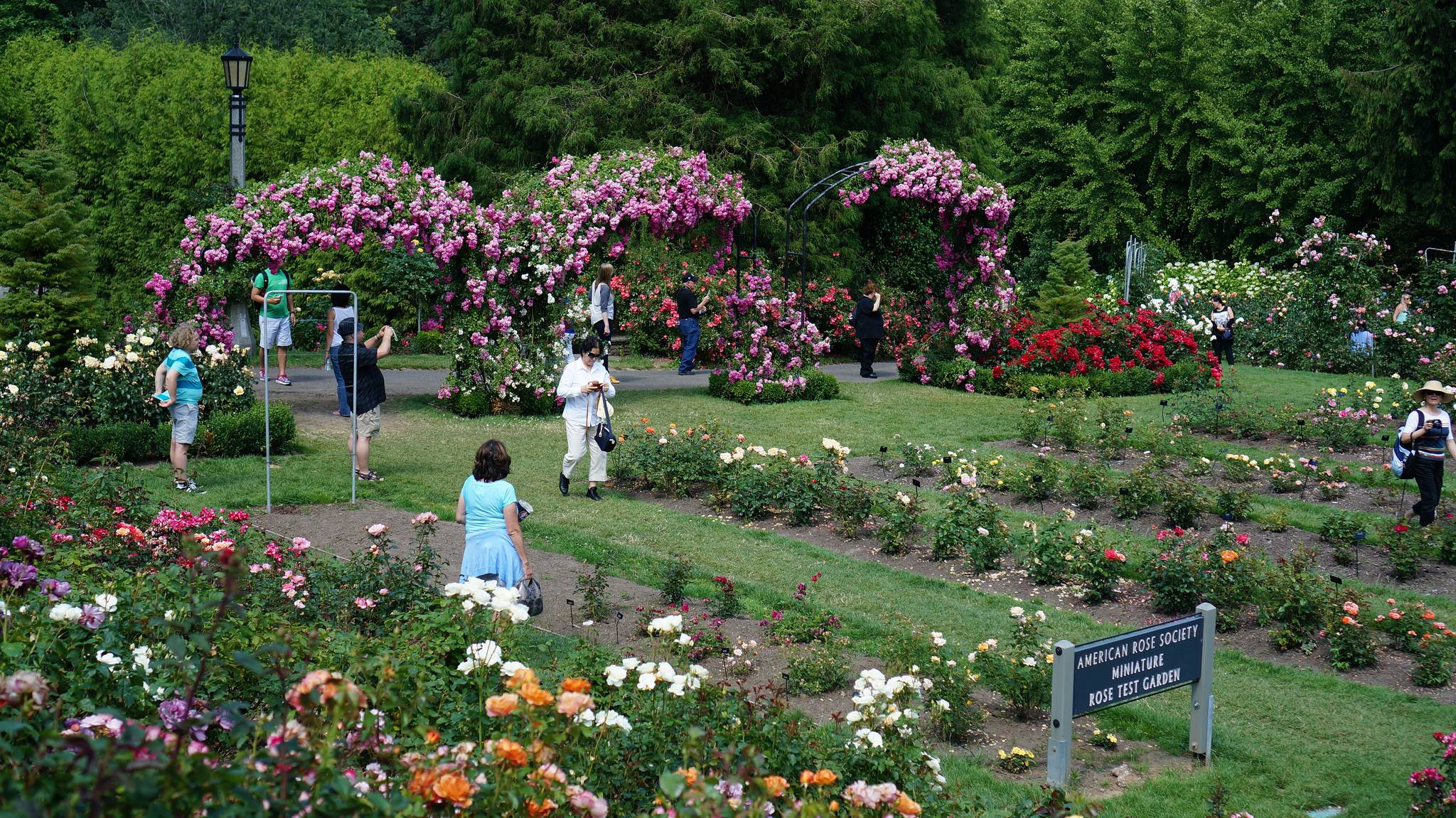 International Rose Test Garden