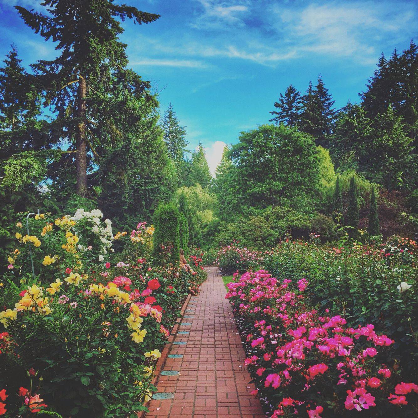 International Rose Test Garden Urban Park