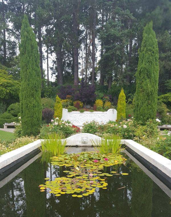 Backyard Garden Landscape Outdoors Backyard Garden