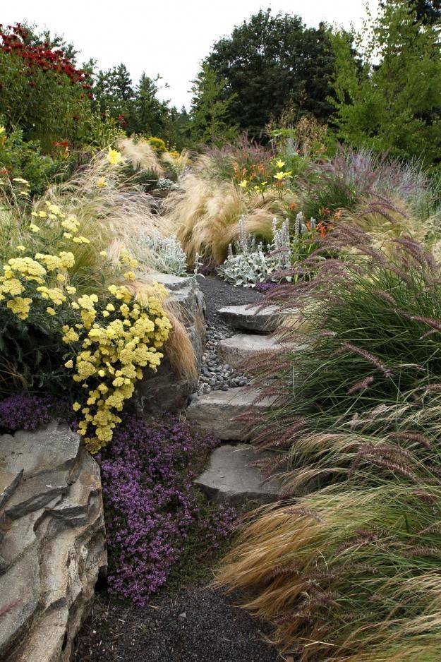 Peninsula Park Rose Garden Rose Garden Portland