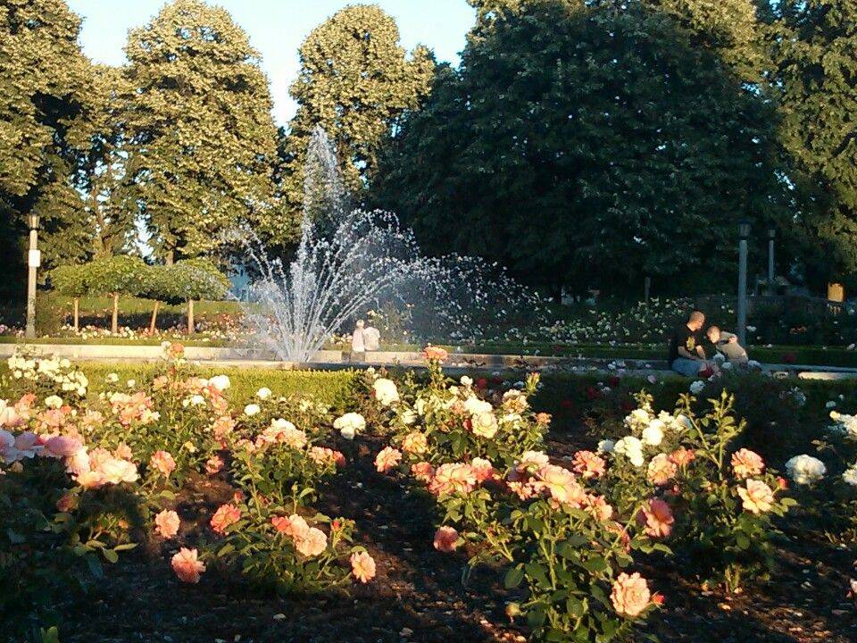 Portlands Gold Medal Rose Garden