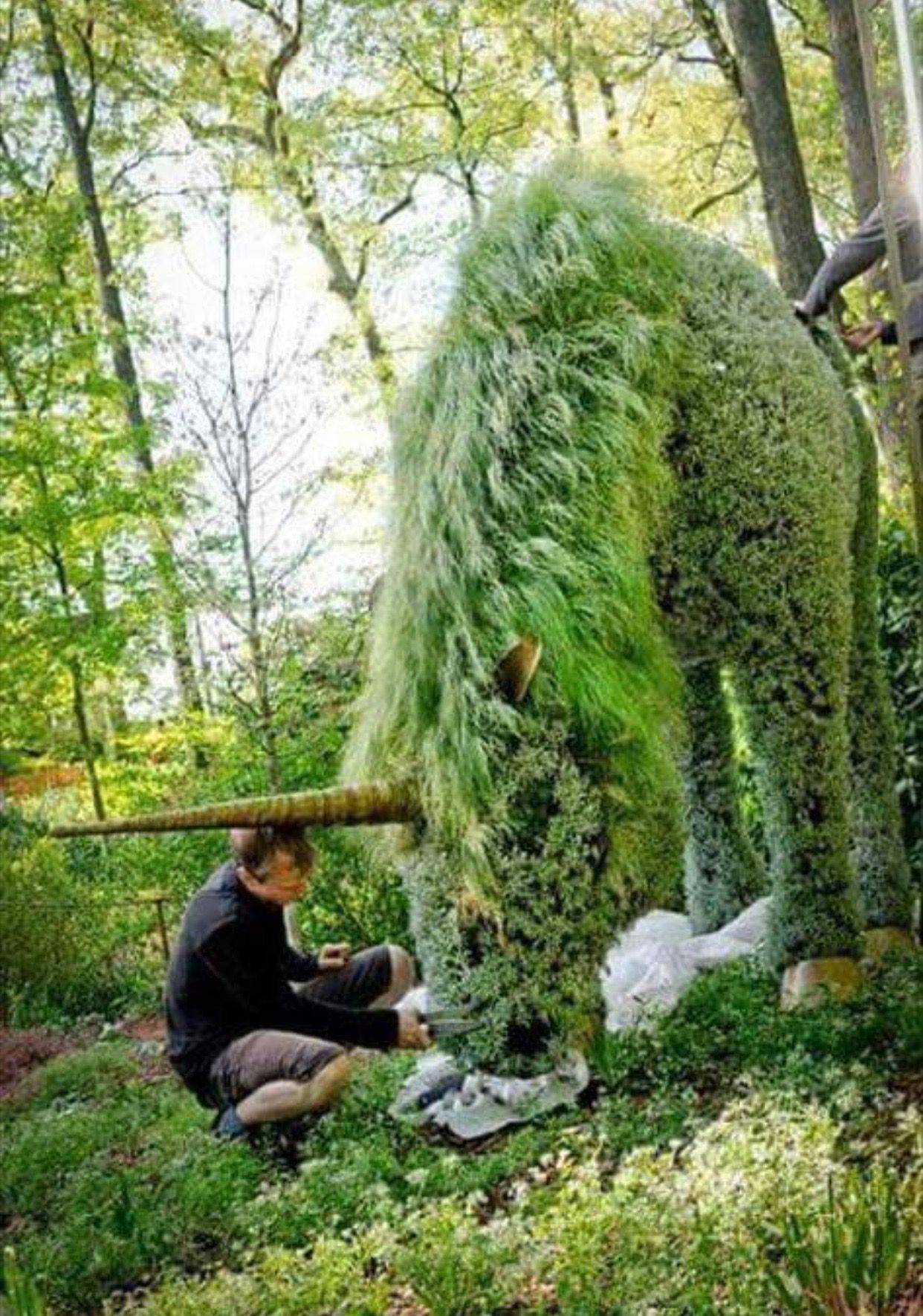 Atlanta Botanical Garden