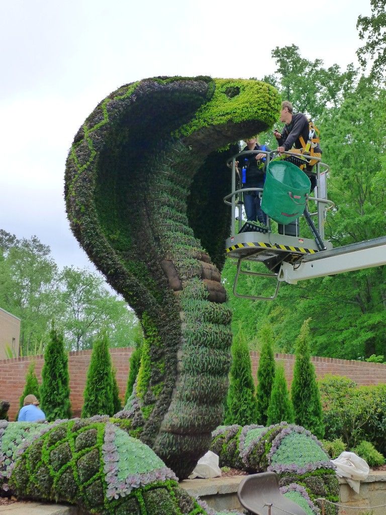 Atlanta Botanical Garden