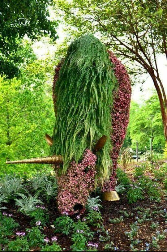 Atlanta Botanical Gardens Imaginary Worlds