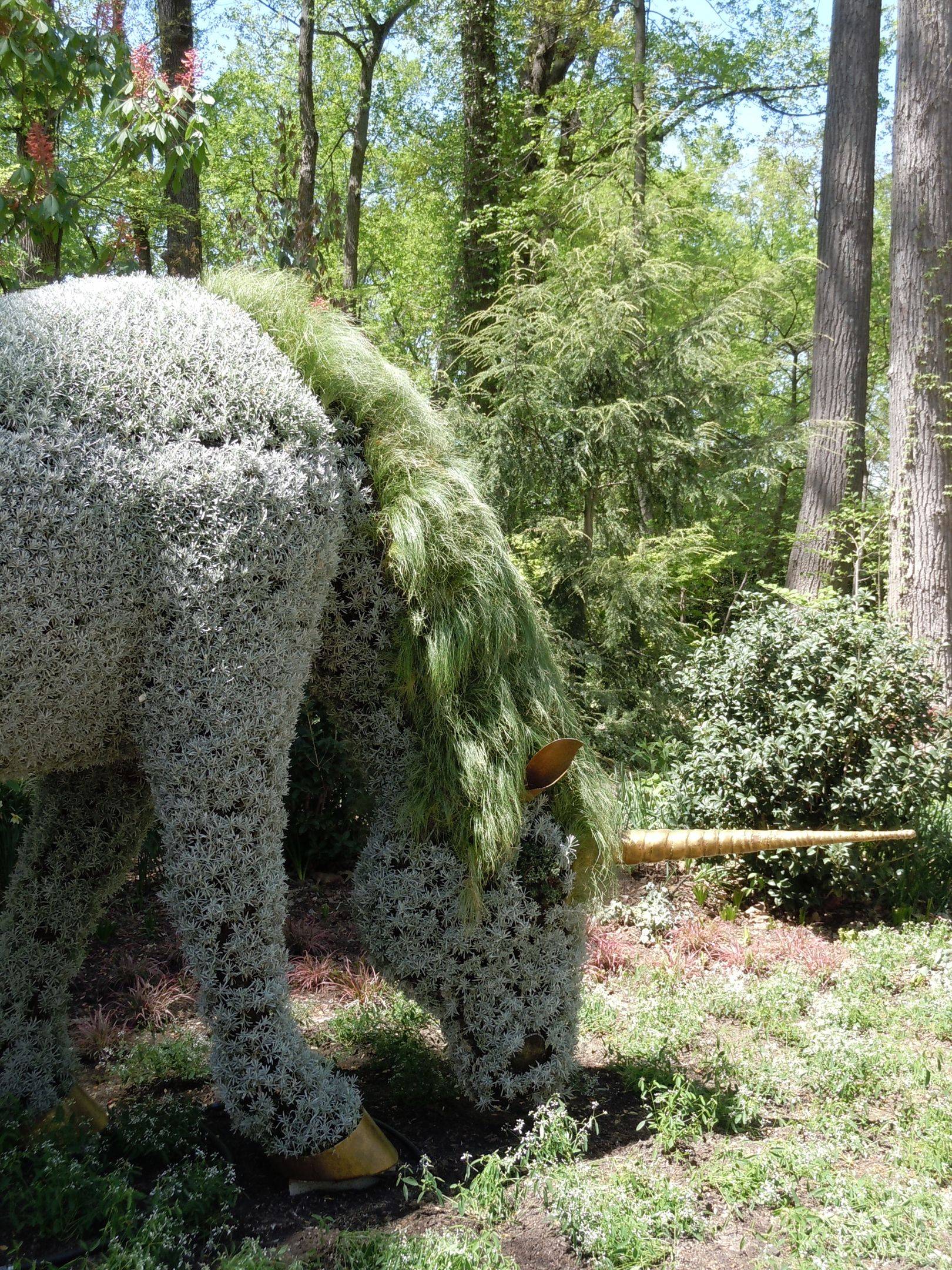 Outstanding Magical Backyard Ideas