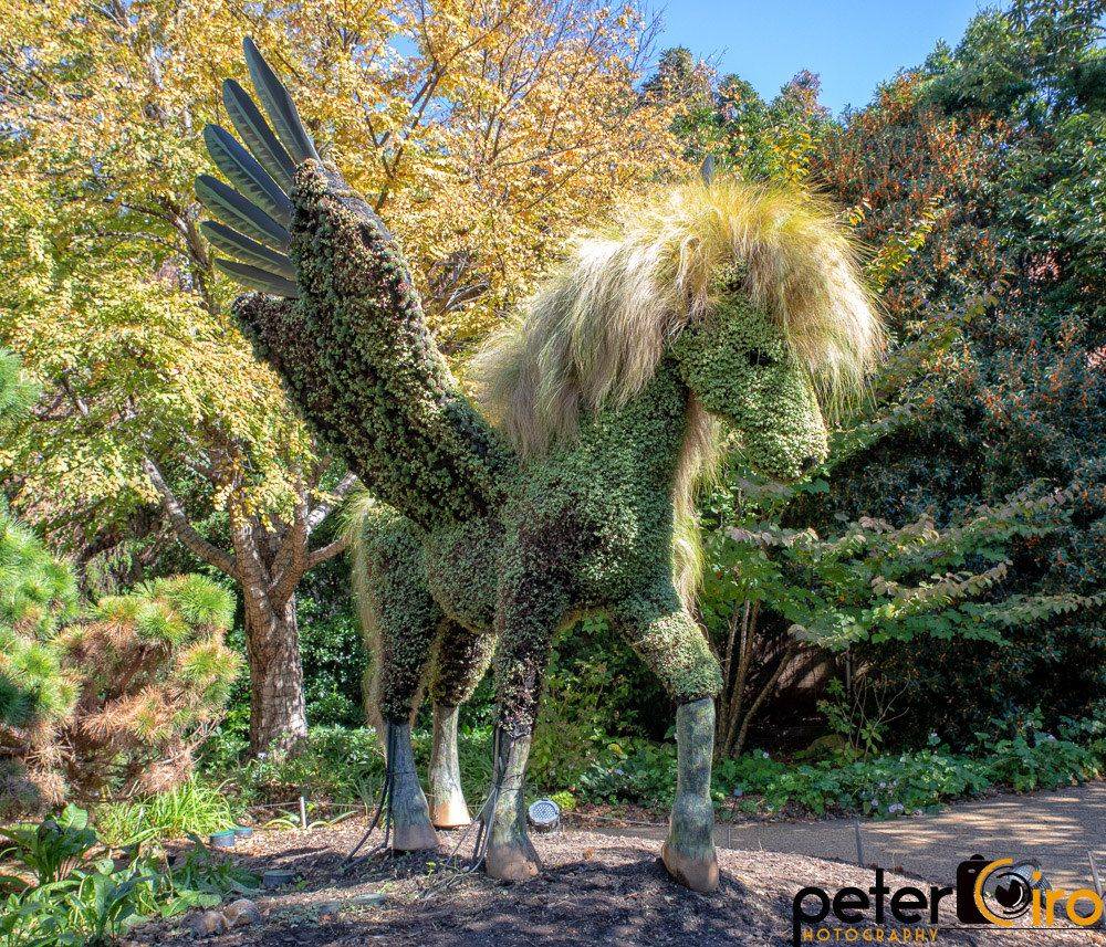 Atlanta Botanical Garden