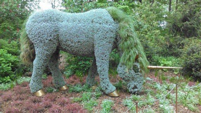 Topiary Unicorn Atlanta Botanical Garden Atlanta Botanical Garden