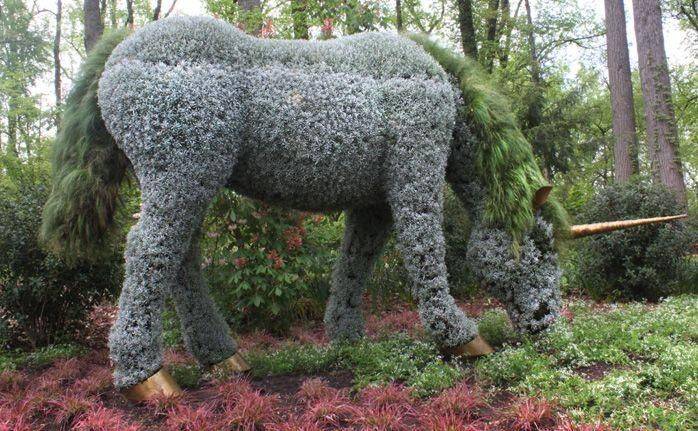 Atlanta Botanical Garden