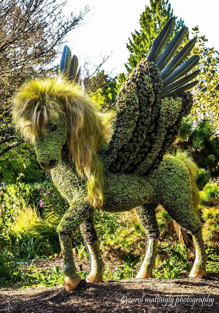 Atlanta Botanical Garden