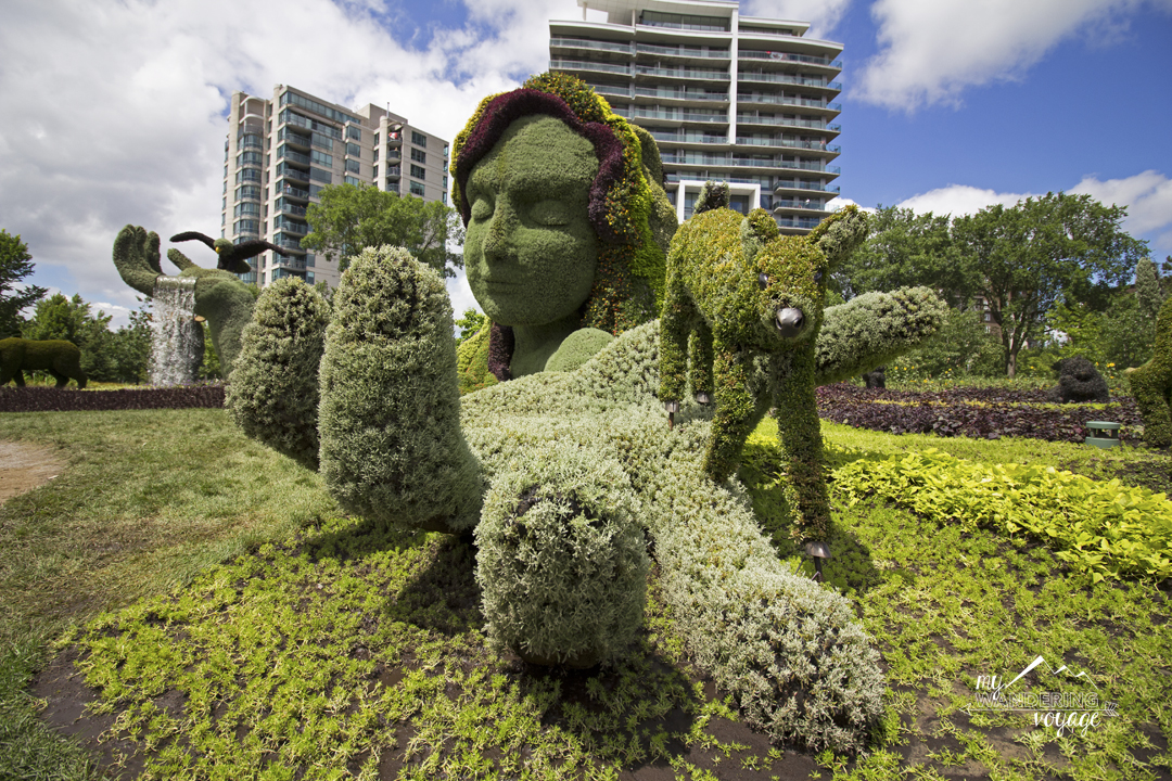 A Topiary Gardener