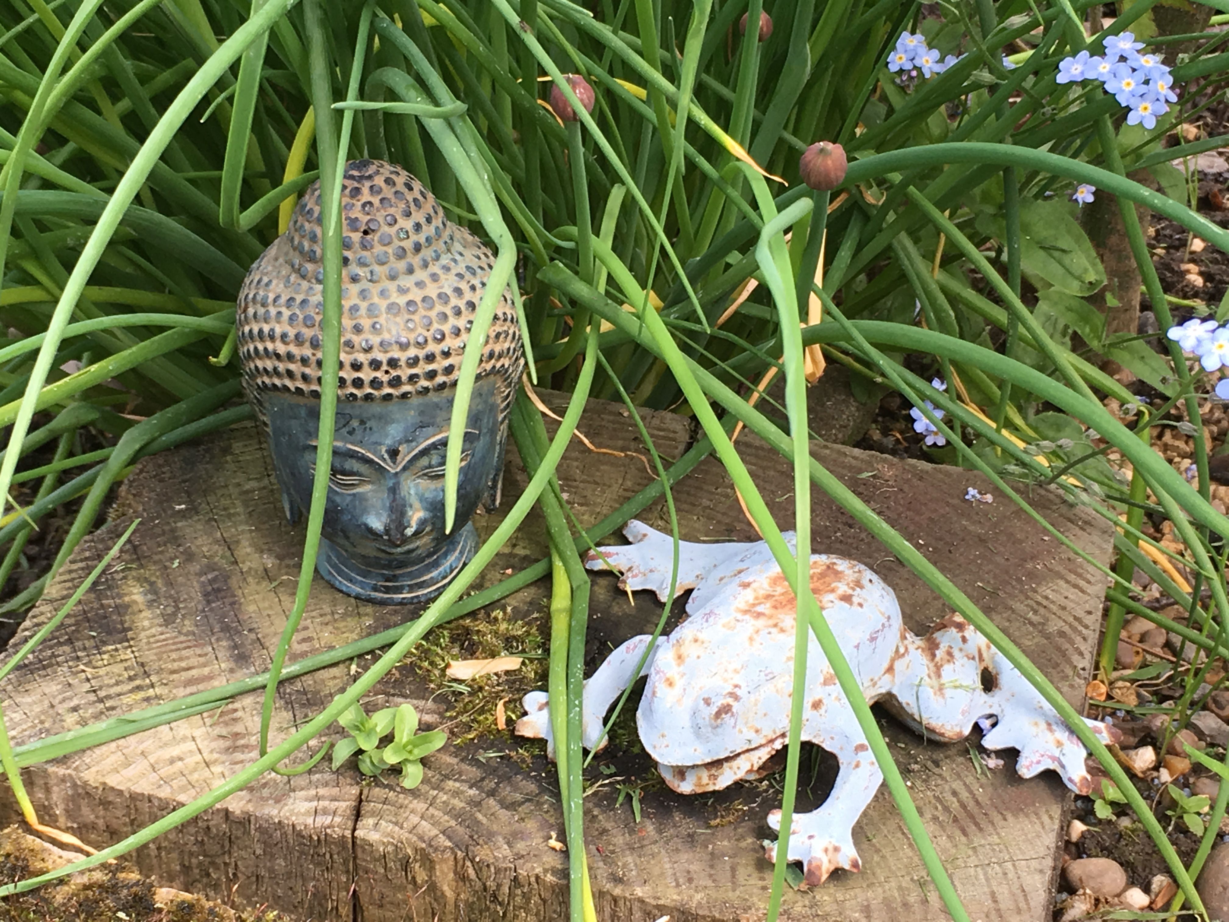 Your Contemporary Garden