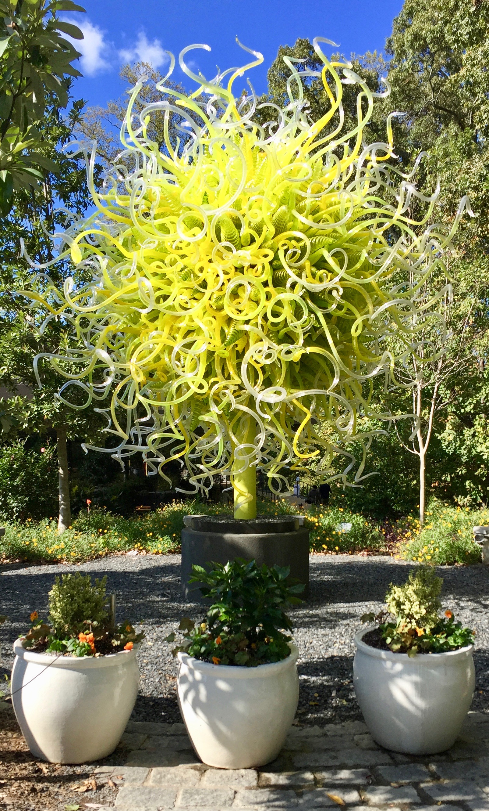 Atlanta Botanical Garden