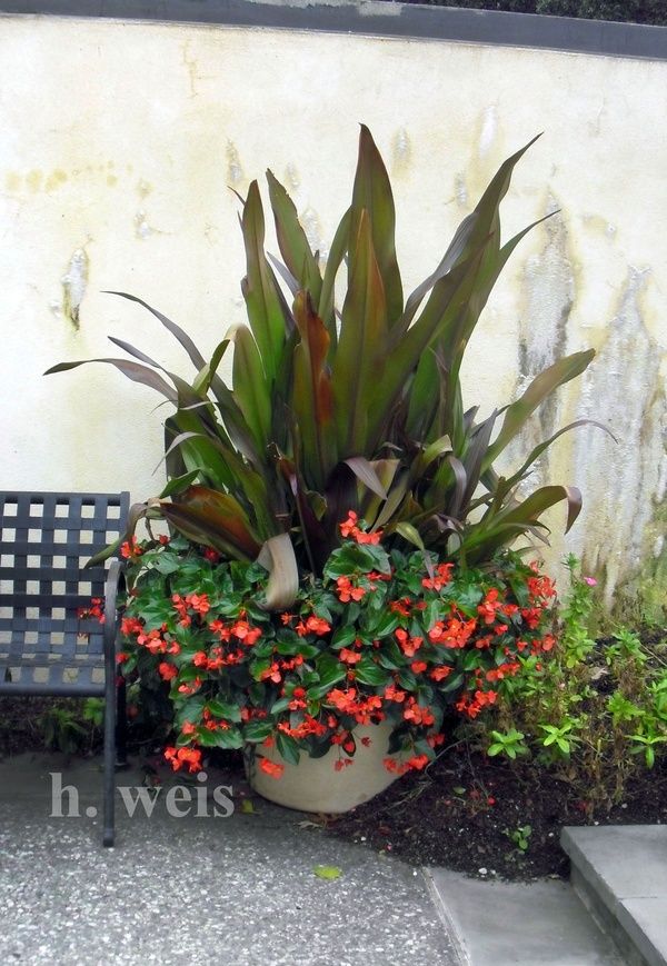 Tom Hare Scuplture Portfolio