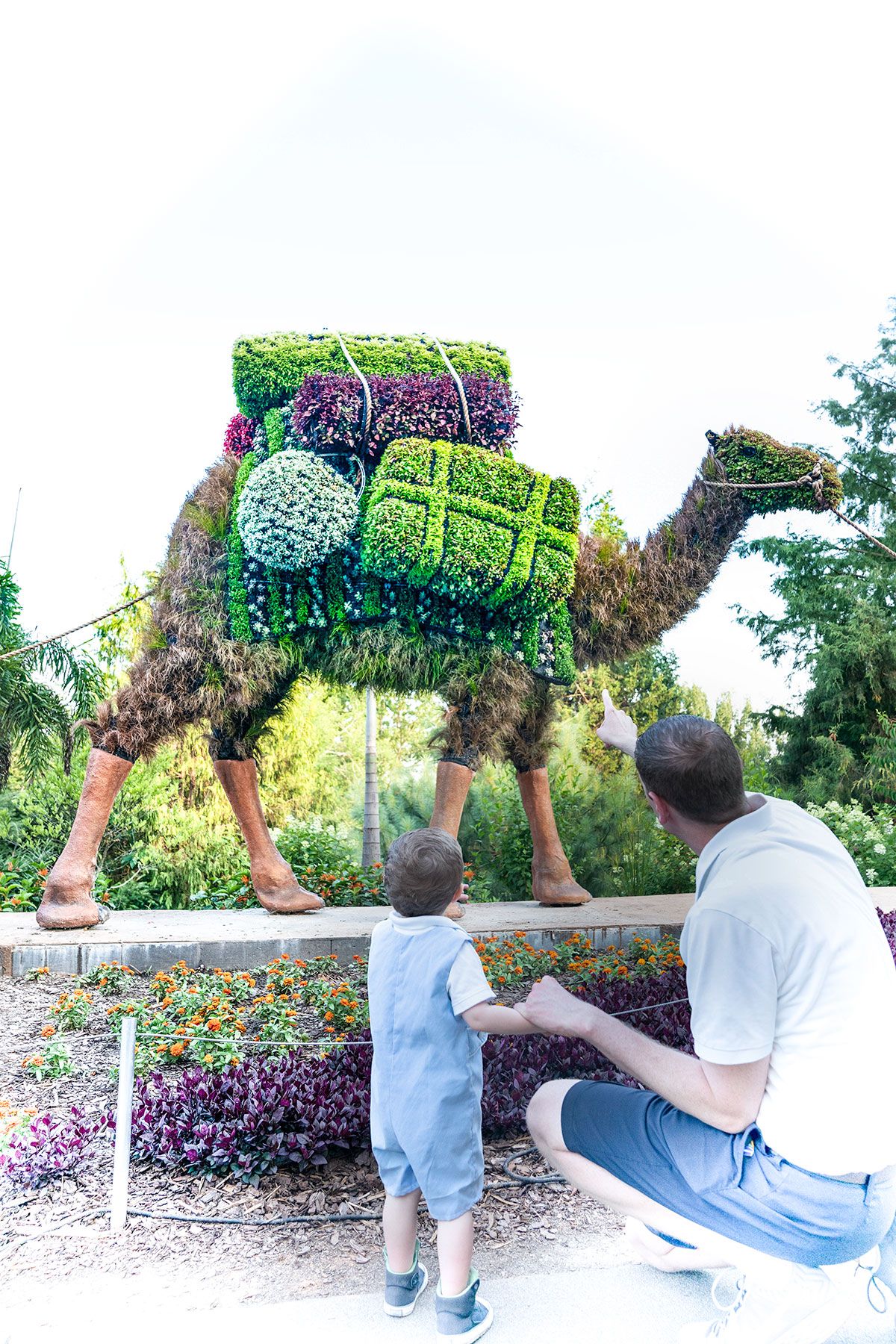 Atlanta Botanical Garden