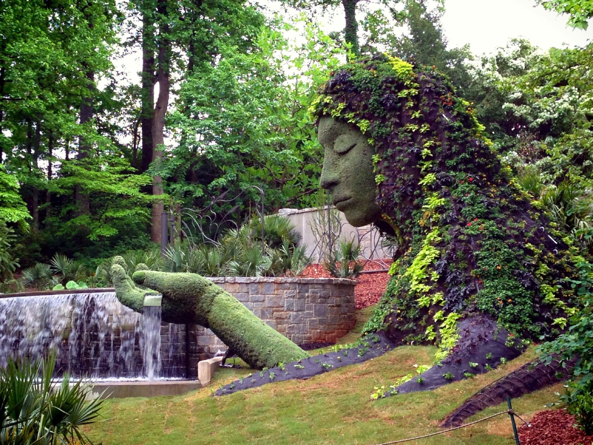 The Atlanta Botanical Gardens