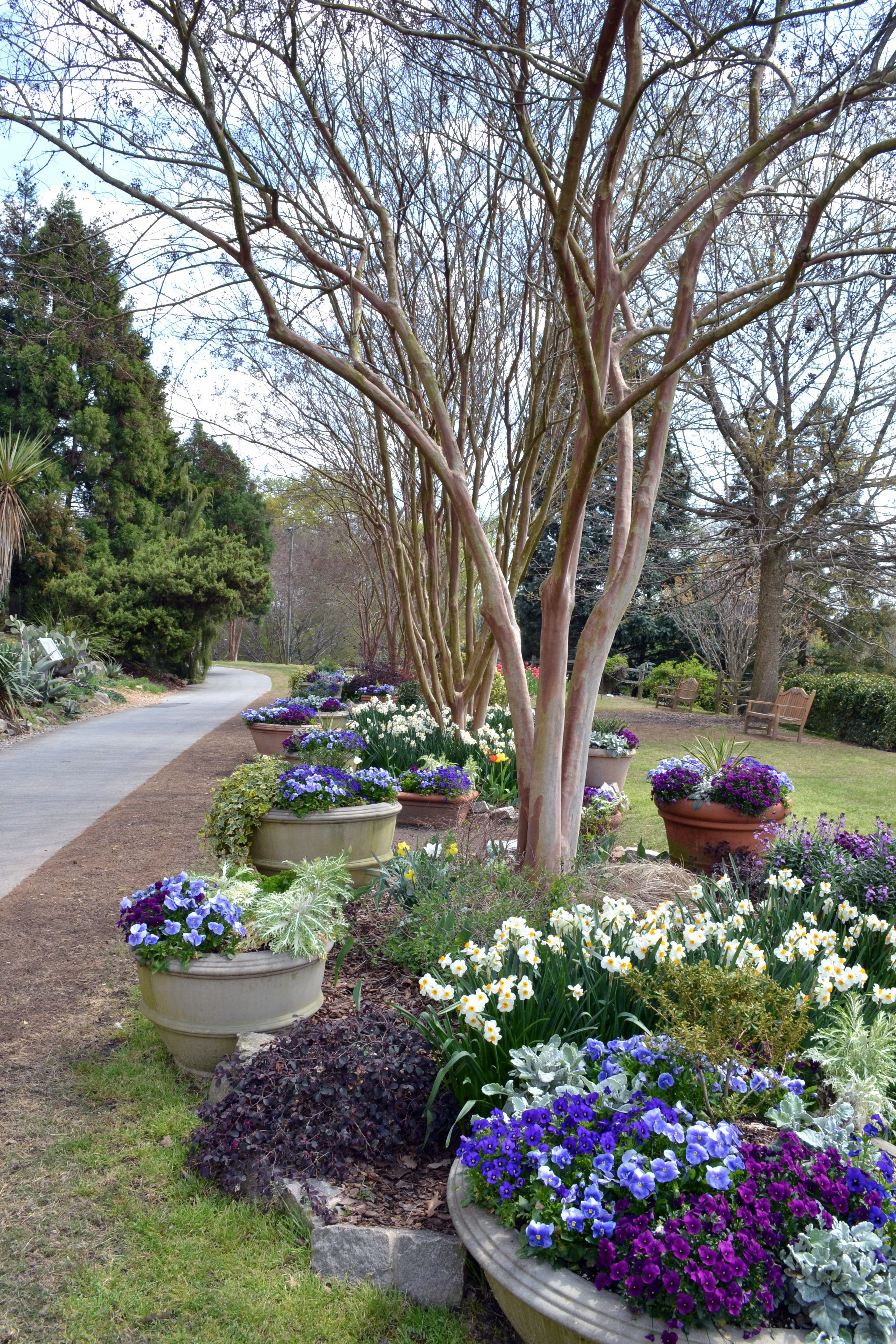 Our Atlanta Botanical Gardens Adventures