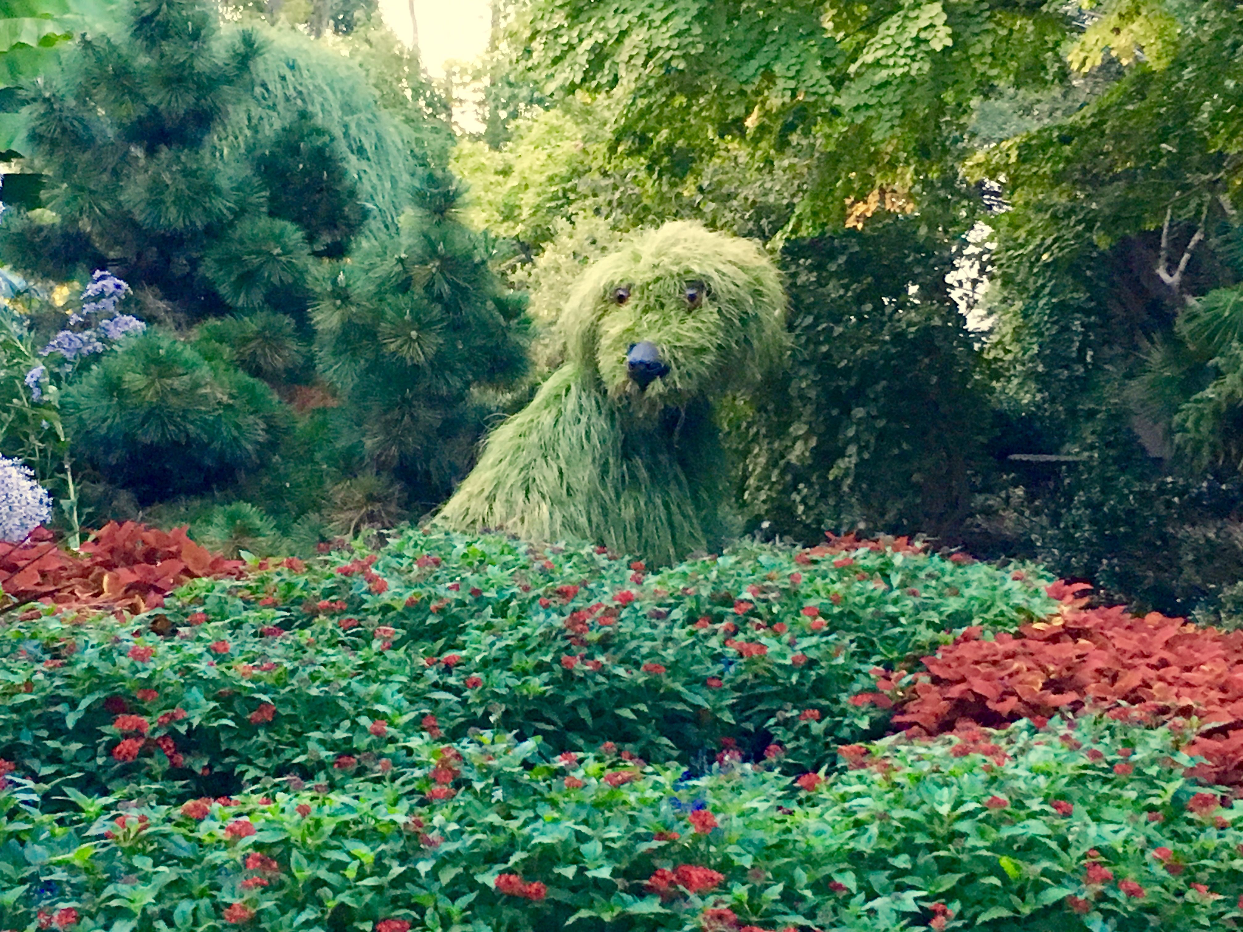 Atlanta Botanical Gardens