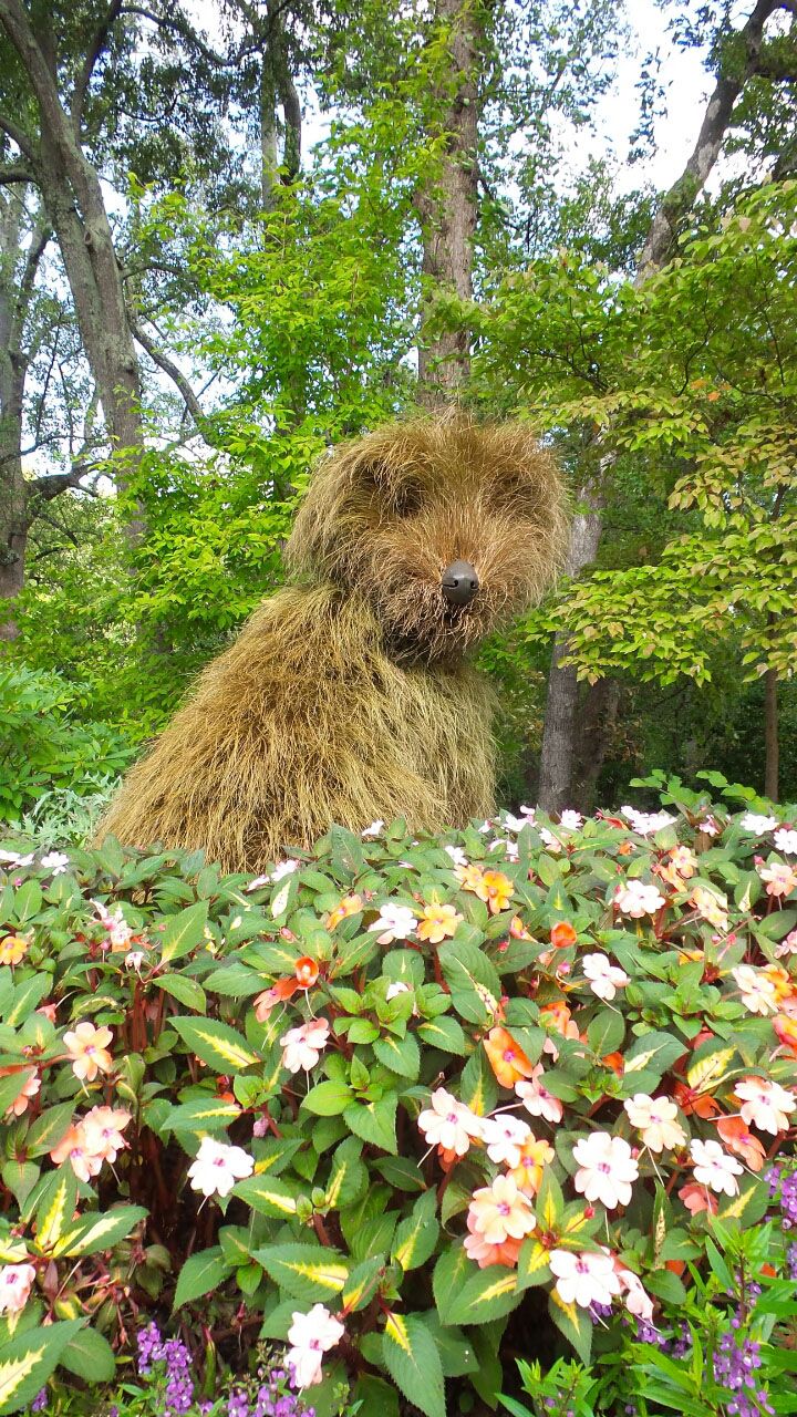 Atlanta Botanical Garden