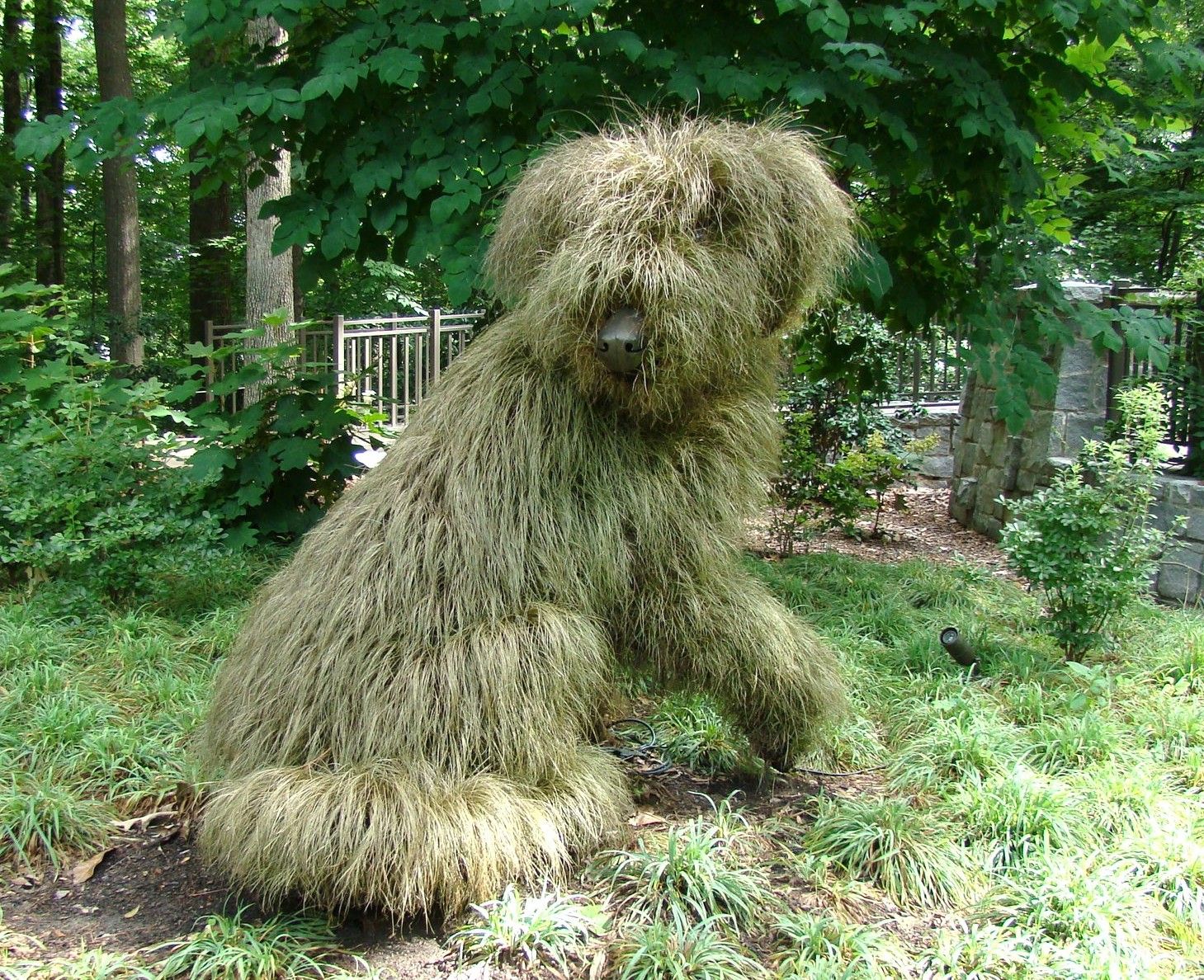 Topiary Shaggy Dog