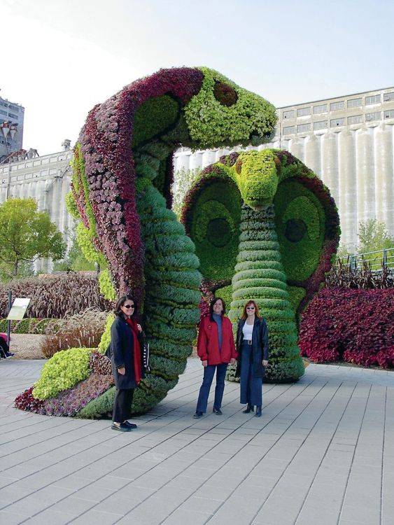 Mosaic Atlanta Botanical Garden Google Search