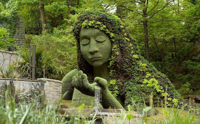 Google Search Atlanta Botanical Garden