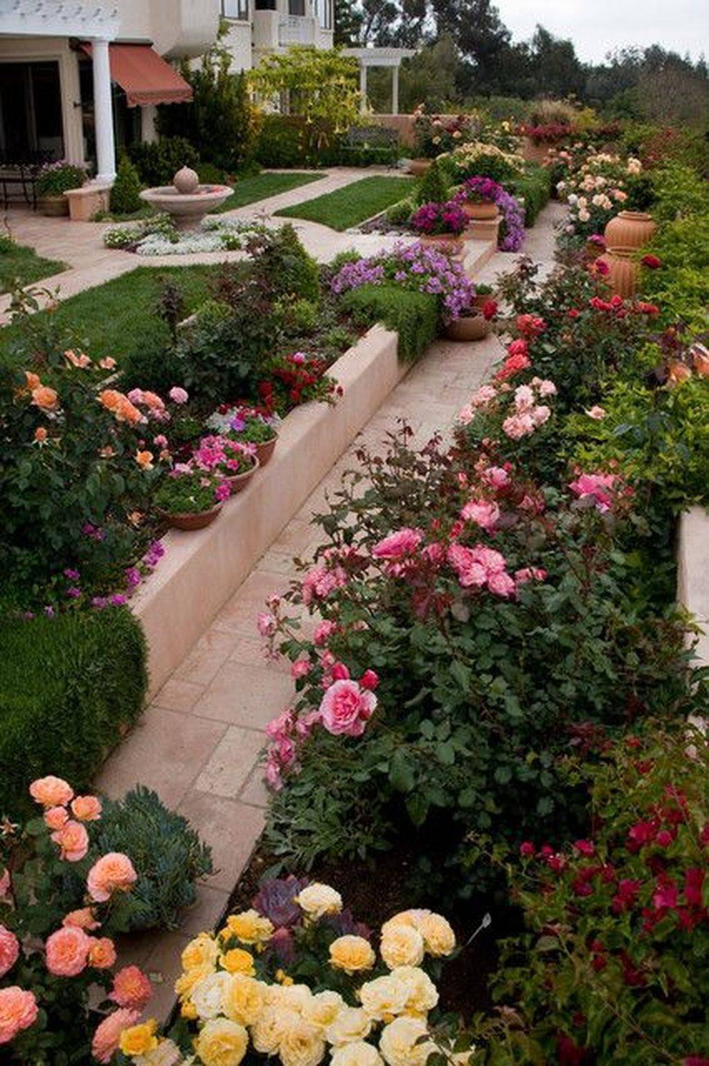 Awesome Garden Rose Flower Ideas