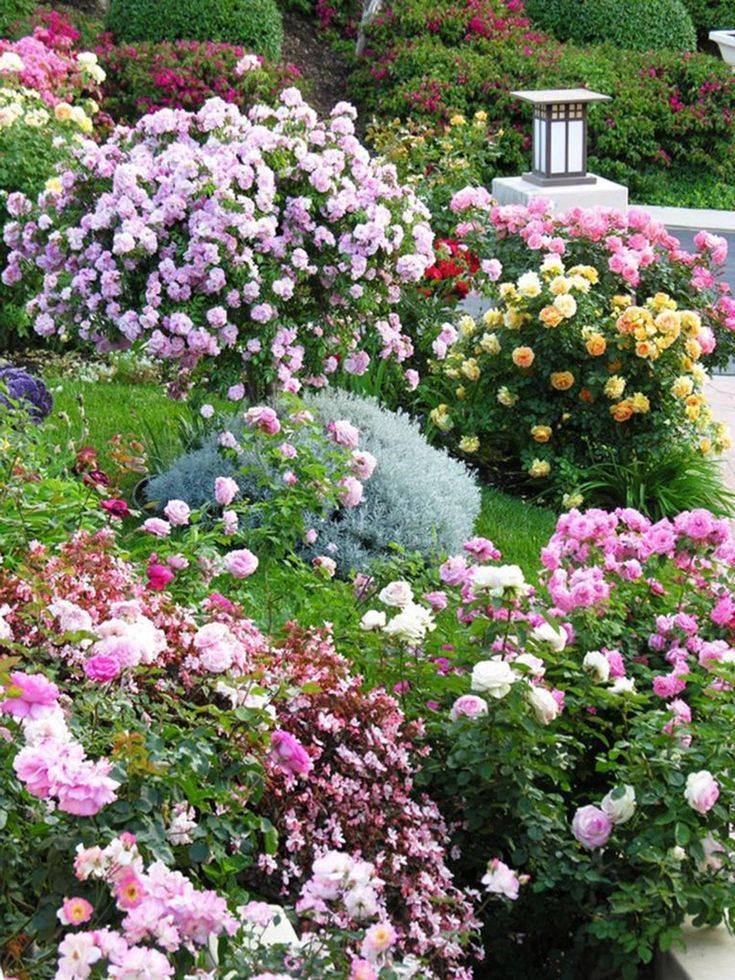 The Charming And Romantic Beauty