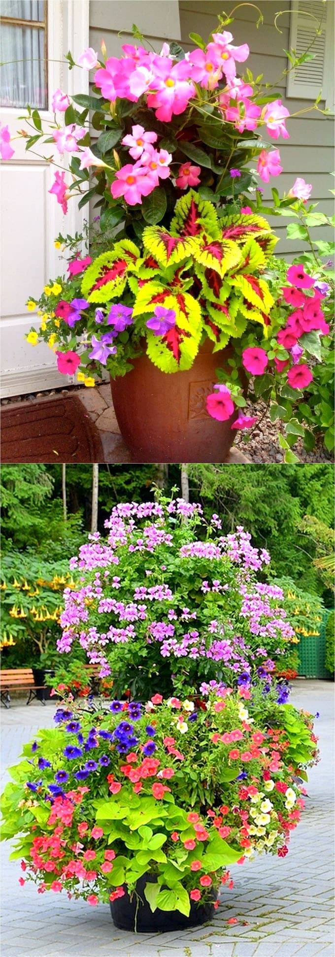 Pink Theme Garden Ideas