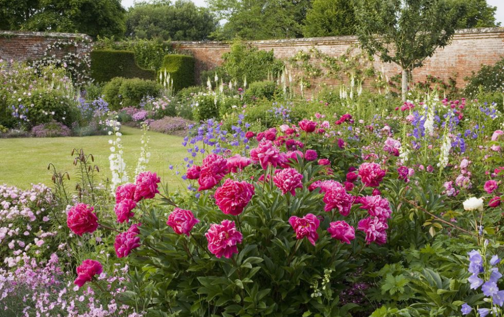 Colorful Flower Gardening