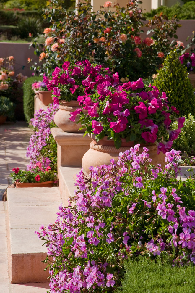 Mallorca Interior Design Flower Landscape