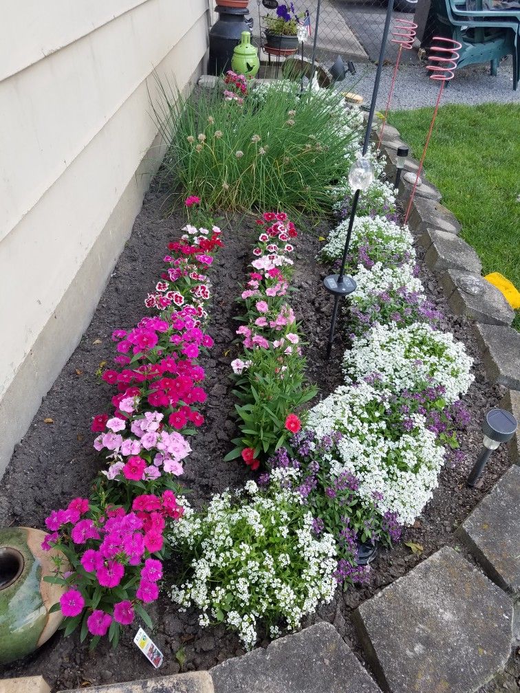 The Charming And Romantic Beauty