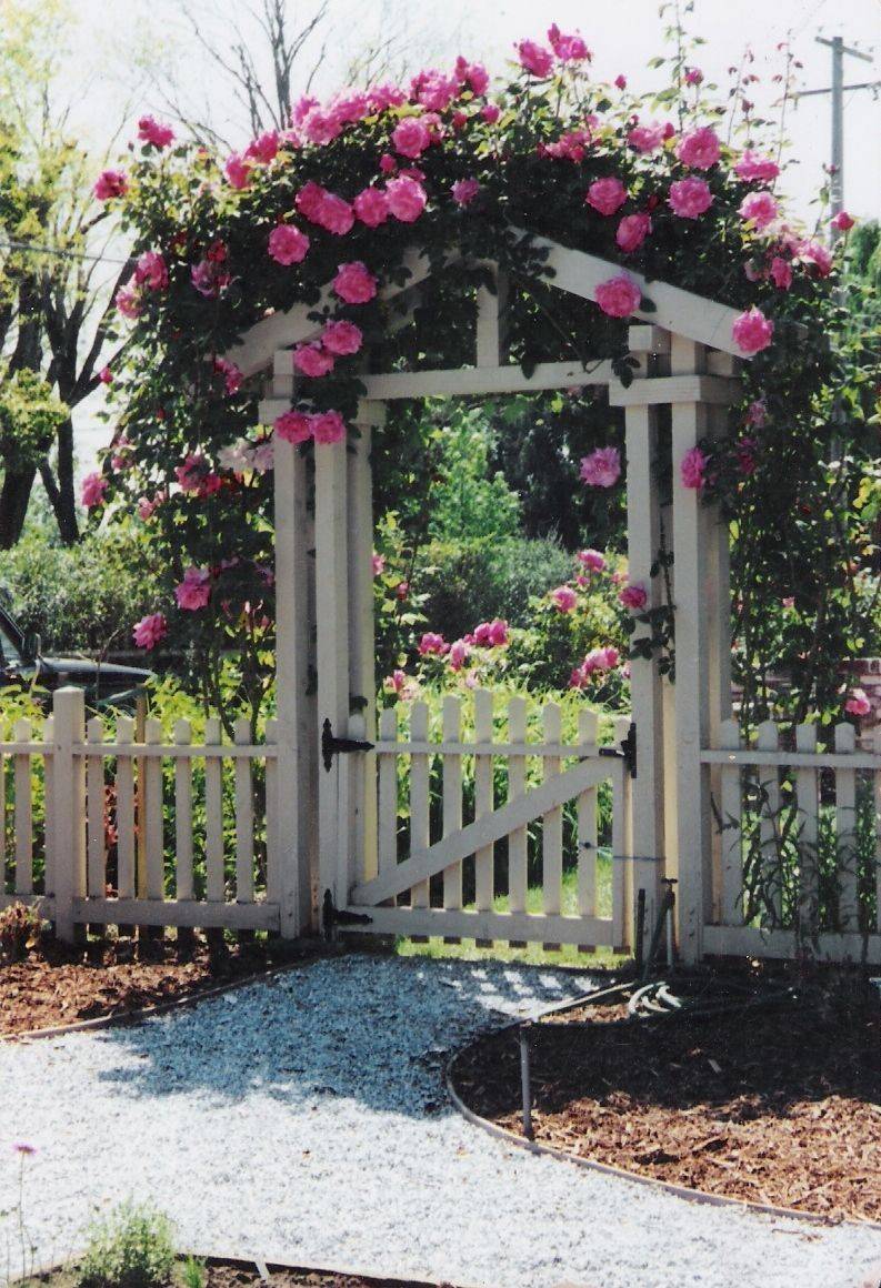 Small Garden Fence