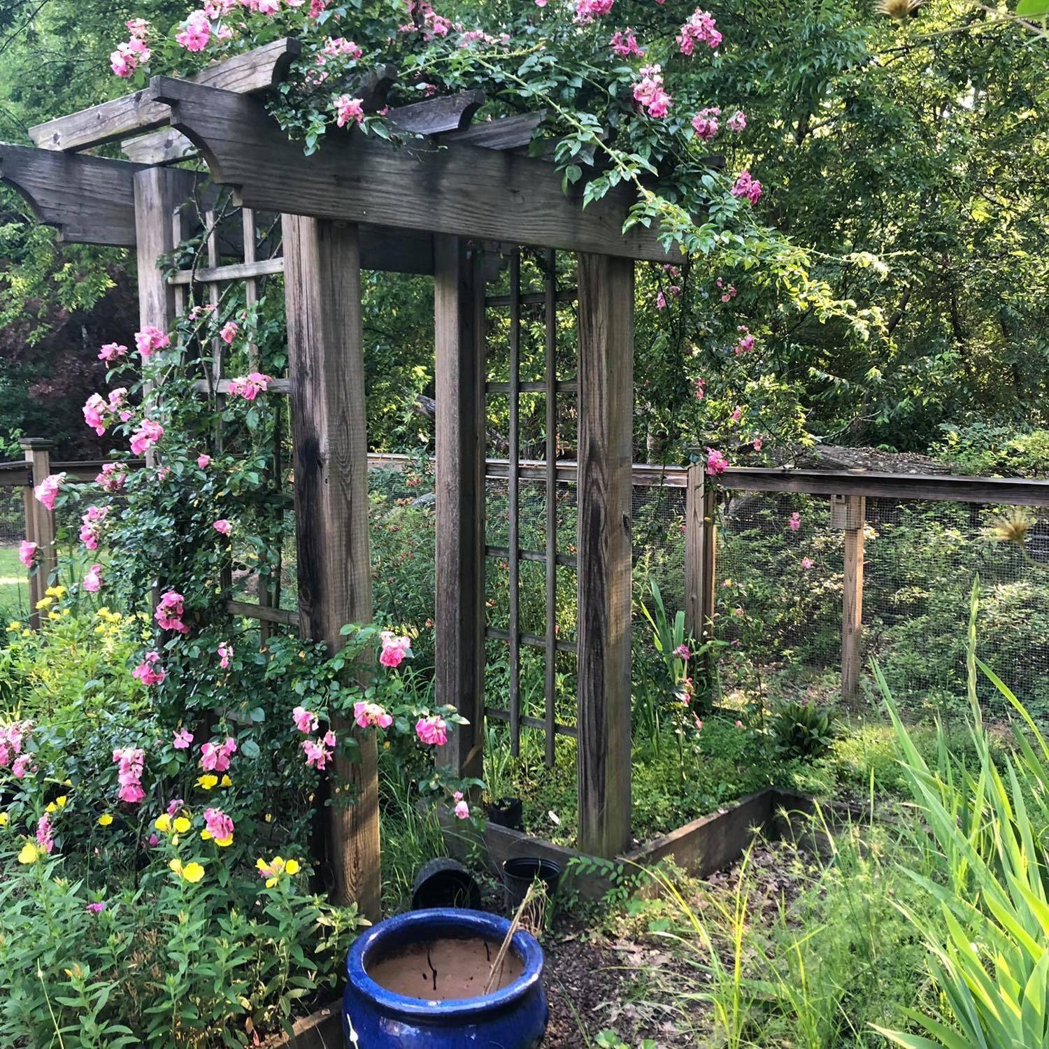 Cottage Garden Front Yard Decoratoo Fenced Vegetable Garden