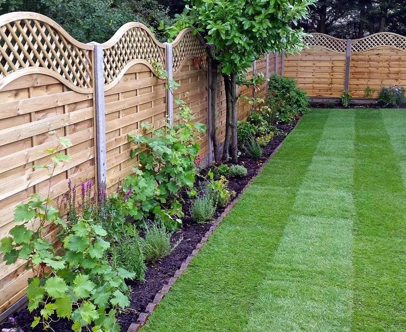 Simple Backyard Privacy Fence Design Ideas