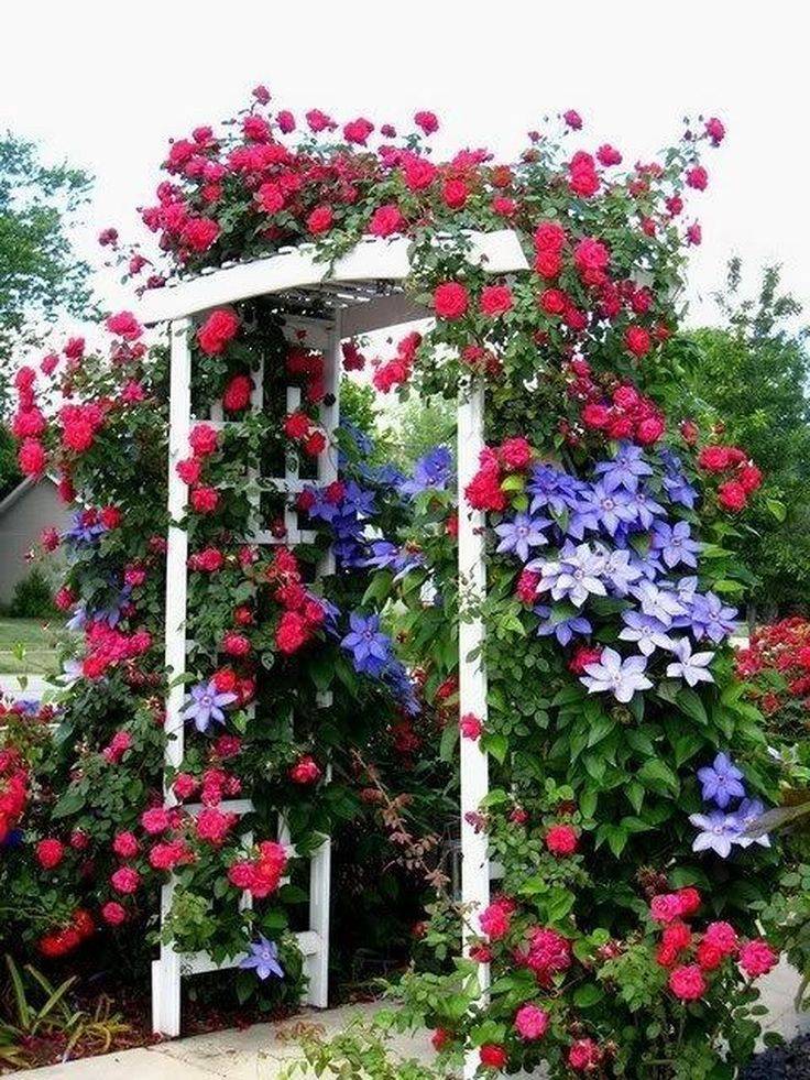 Creative And Easy Diy Trellis Ideas