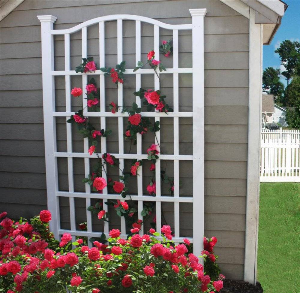 19 Rose Garden Trellis Ideas Worth a Look SharonSable