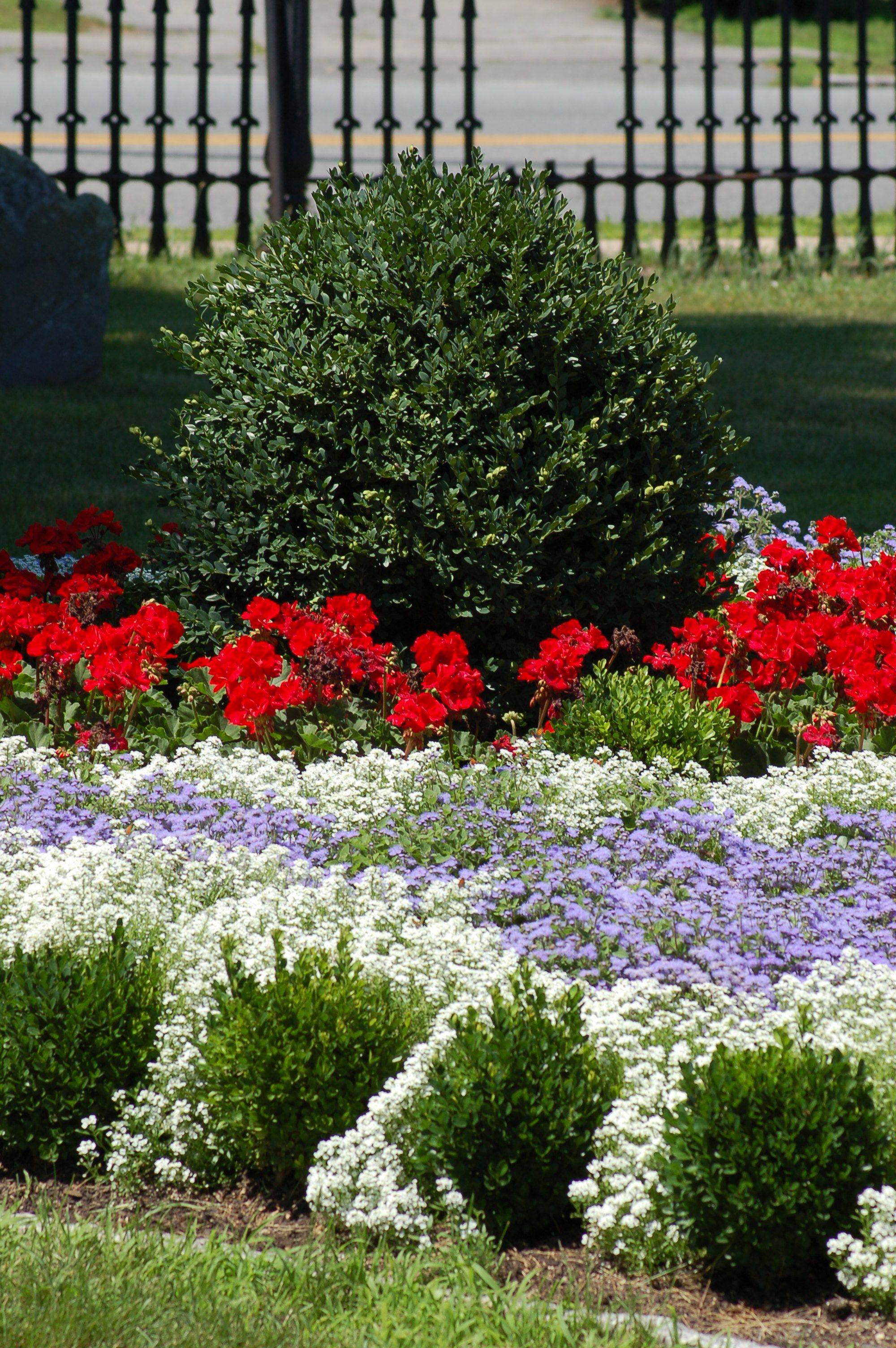 Beautiful Garden Fence Ideas Diy Vegetable Home Design