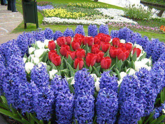 Carithers Flowers Atlanta