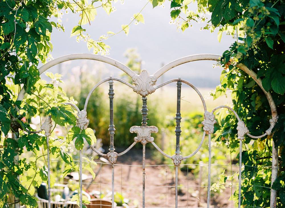 An Old Garden Gate